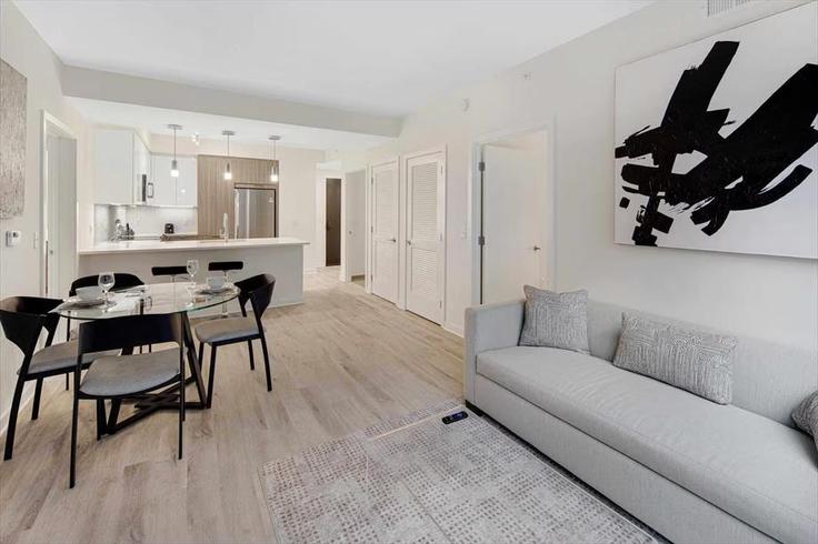 Sala de estar elegantemente projetada com móveis modernos em um apartamento no Building First Street Northeast - churchillliving - 1040224 em Washington, Washington