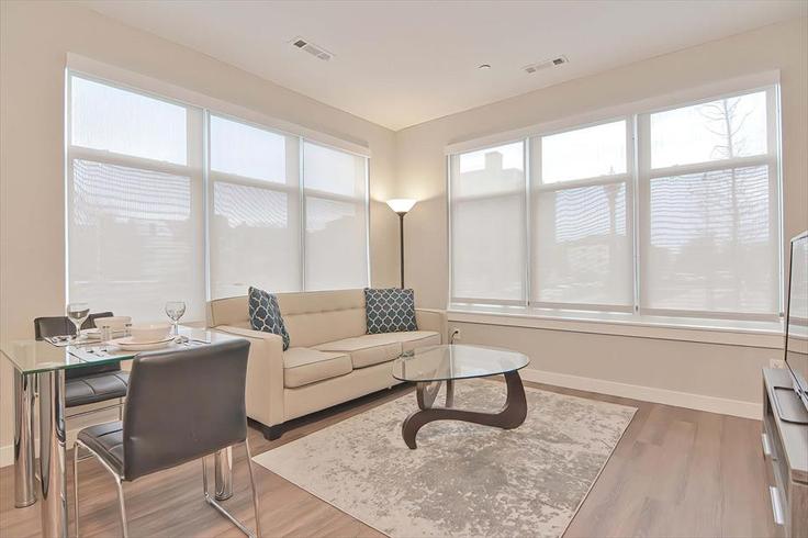 Salle de séjour élégante avec mobilier moderne dans un appartement à Building East Pier Drive - churchillliving - 1039832 - BOS à Boston, Boston