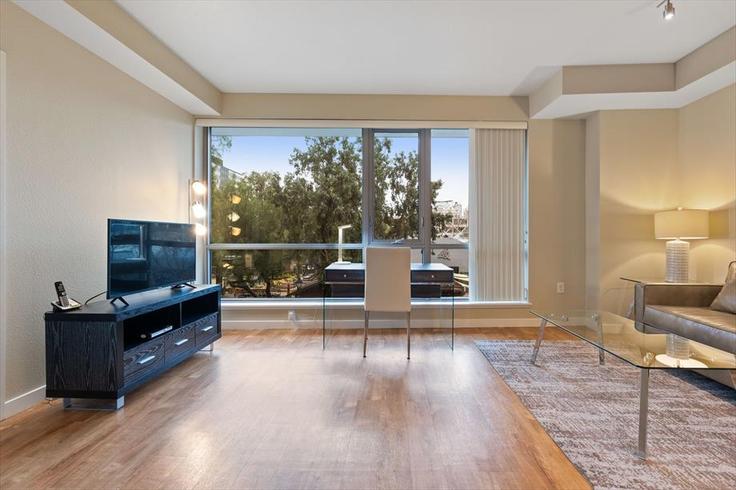 Salle de séjour élégante avec mobilier moderne dans un appartement à Building North Almaden Avenue - churchillliving - 1045377 - SFO à San Jose, San Jose Salle de séjour élégante avec mobilier moderne dans un appartement à Building North Almaden Avenue - churchillliving - 1045377 - SFO à San Jose, San Jose