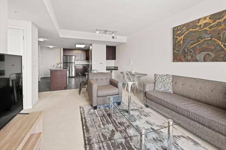 Arlington ArlingtonのBuilding South Fern Street - churchillliving - 1230412 - WDCのアパートメントにある、モダンな家具を備えたエレガントなデザインのリビングルーム Arlington ArlingtonのBuilding South Fern Street - churchillliving - 1230412 - WDCのアパートメントにある、モダンな家具を備えたエレガントなデザインのリビングルーム