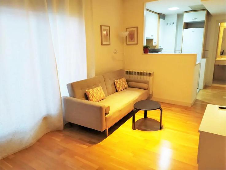 Valverde, Madrid에 위치한 Building Calle de Cirauqui - cituspace-sl - 1467499 유닛의 세련된 인테리어가 돋보이는 거실 Valverde, Madrid에 위치한 Building Calle de Cirauqui - cituspace-sl - 1467499 유닛의 세련된 인테리어가 돋보이는 거실