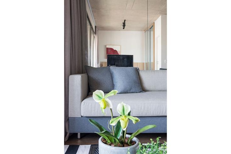 Elegant gestaltetes Wohnzimmer mit moderner Einrichtung in einer Wohnung im Building Praça Monteiro dos Santos - conviva-stay - 1539198 in Chácara Klabin, São Paulo