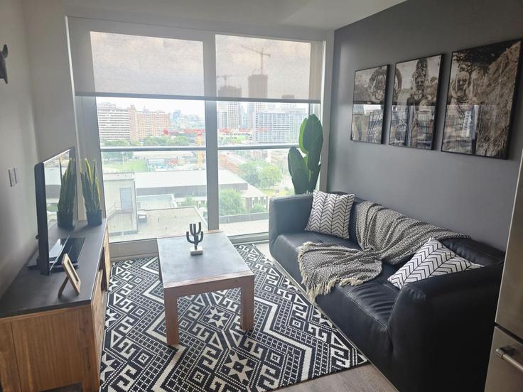 Toronto Old TorontoのBuilding Mutual Street - corporate-stays - 1407212のアパートメントにある、モダンな家具を備えたエレガントなデザインのリビングルーム Toronto Old TorontoのBuilding Mutual Street - corporate-stays - 1407212のアパートメントにある、モダンな家具を備えたエレガントなデザインのリビングルーム