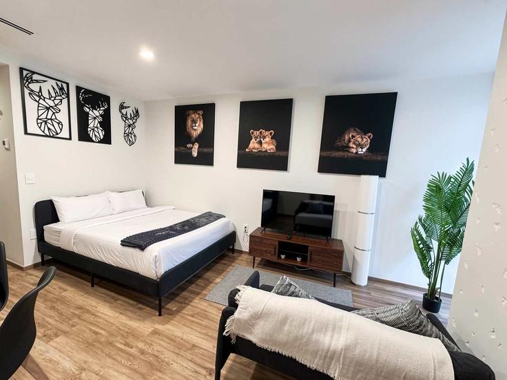 Salle de séjour élégante avec mobilier moderne dans un appartement à Building Avenida Paseo de la Reforma - cs - 1509043 à Mexico City, Mexico City Salle de séjour élégante avec mobilier moderne dans un appartement à Building Avenida Paseo de la Reforma - cs - 1509043 à Mexico City, Mexico City