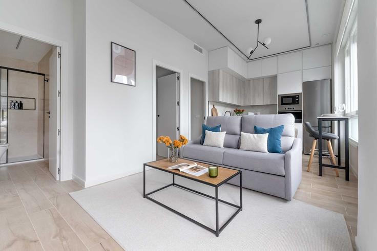 Salle de séjour élégante avec mobilier moderne dans un appartement à Building Paseo de la Castellana - devegacol-sl - 1647148 à Chamartín, Madrid