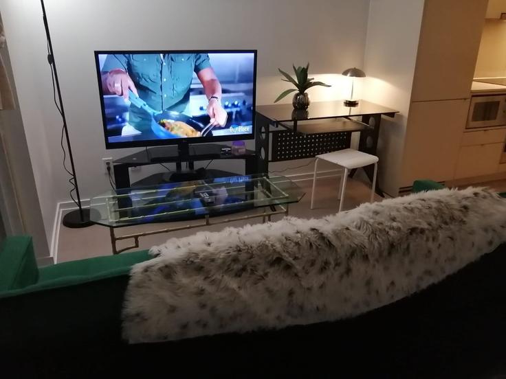 Old Toronto, Toronto에 위치한 Building Peter Street - downtown-toronto-vacations - 1347731 아파트의 세련된 인테리어가 돋보이는 거실