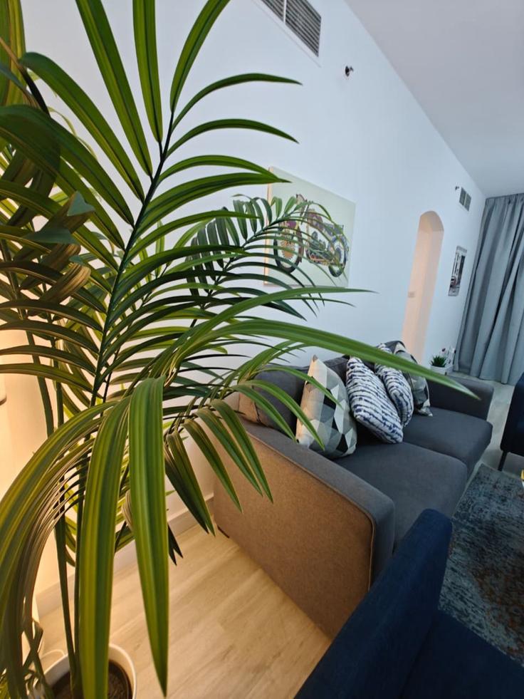 Dubai Marina, Dubai에 위치한 Building Al Emreef Street - dream-wild-empire - 1363968 아파트의 세련된 인테리어가 돋보이는 거실