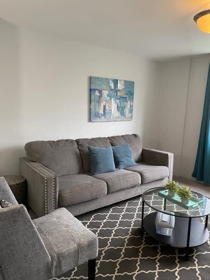 Elegante sala de estar con mobiliario moderno en un apartamento en Building Piedmont Avenue Northeast - duoduo-llc - 1299372 - ATL en Atlanta, Atlanta