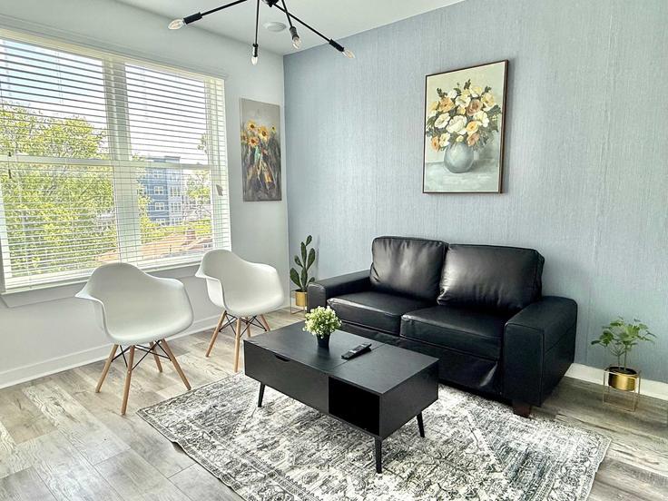 Salle de séjour élégante avec mobilier moderne dans un appartement à Building Parkway Drive Northeast - duoduo-llc - 1299398 - ATL à Atlanta, Atlanta Salle de séjour élégante avec mobilier moderne dans un appartement à Building Parkway Drive Northeast - duoduo-llc - 1299398 - ATL à Atlanta, Atlanta