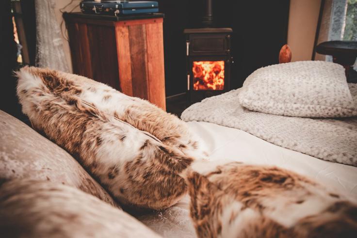 West Devon District, Beaworthy에 위치한 Building Eworthy Farm - finest-retreats - 1329413 아파트의 세련된 인테리어가 돋보이는 거실