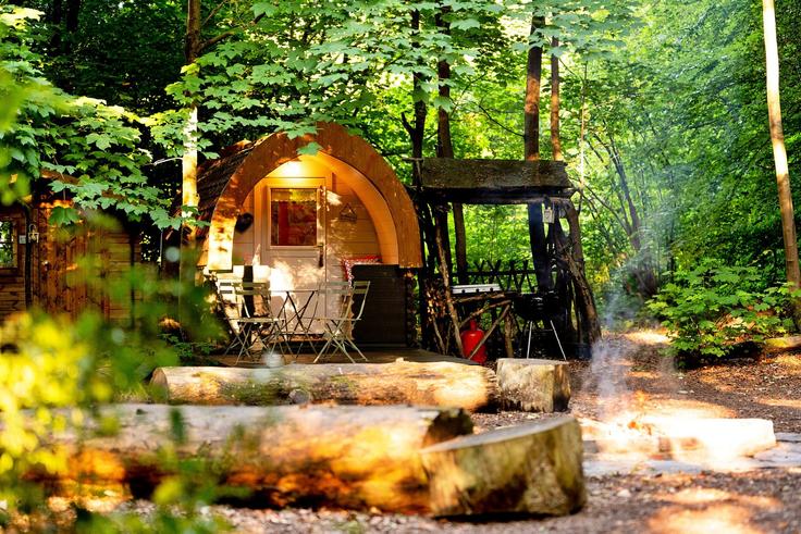 1 chambre appartement meublé à Hollington Park Glamping 1329462P , Basingstoke and Deane District, Newbury, photo 1