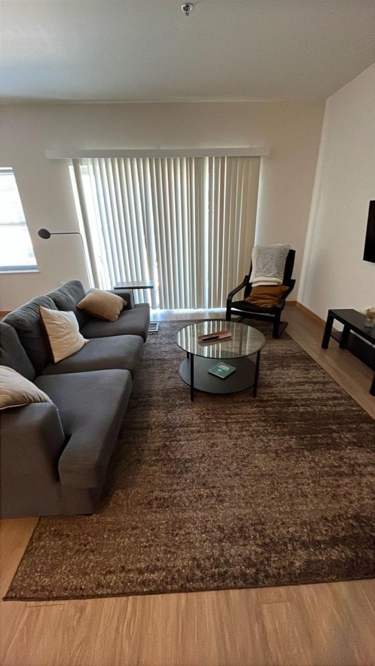 Elegante sala de estar con mobiliario moderno en un apartamento en Building North Water Street - flexhome - 1379063 en Milwaukee, Milwaukee