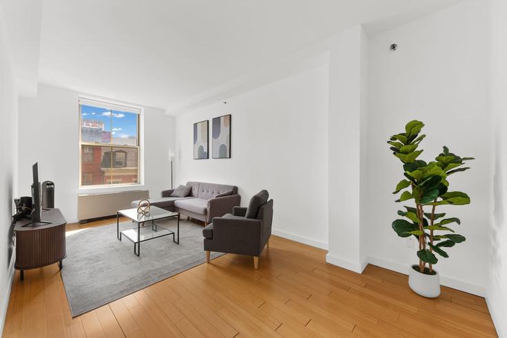 Elegant gestaltetes Wohnzimmer mit moderner Einrichtung in einer Wohnung im Building Saint Marks Place - furnished-club-1 - 1604393 in Manhattan, New York