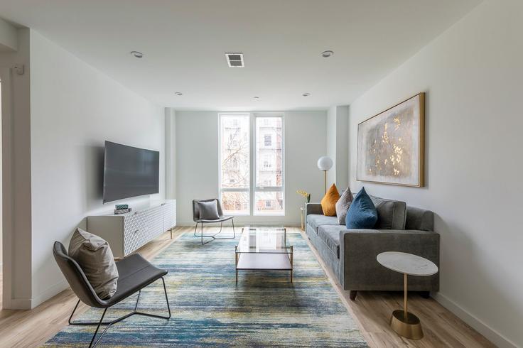 Building Marshall Drive - harmonyapartments - 1041930 adresindeki bir dairede modern mobilyalarla zarif bir şekilde tasarlanmış oturma odası Hoboken, Hoboken Building Marshall Drive - harmonyapartments - 1041930 adresindeki bir dairede modern mobilyalarla zarif bir şekilde tasarlanmış oturma odası Hoboken, Hoboken