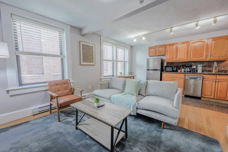 Building Dartmouth Street - healinghomesofboston - 1330806 adresindeki bir dairede modern mobilyalarla zarif bir şekilde tasarlanmış oturma odası Boston, Boston