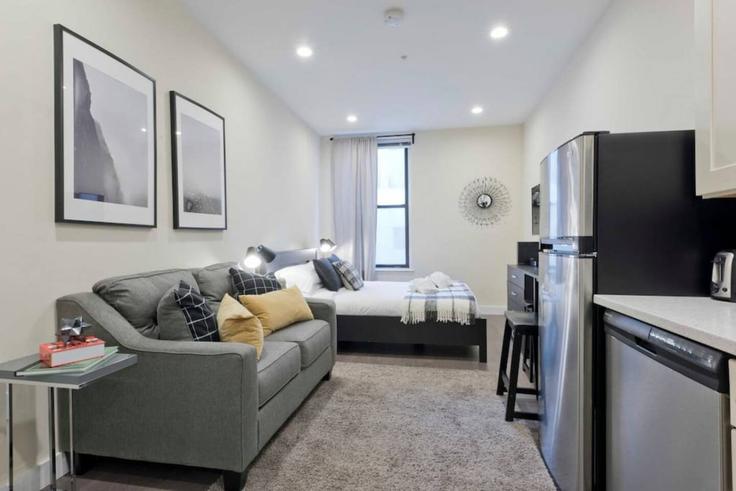 Elegant gestaltetes Wohnzimmer mit moderner Einrichtung in einer Wohnung im Building Arch Street - healinghomesofboston - 1352471 in Boston, Boston Elegant gestaltetes Wohnzimmer mit moderner Einrichtung in einer Wohnung im Building Arch Street - healinghomesofboston - 1352471 in Boston, Boston