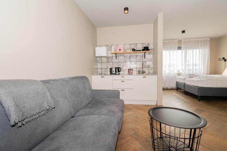 Building Barónsstígur - heimaleiga - 1286430 adresindeki bir dairede modern mobilyalarla zarif bir şekilde tasarlanmış oturma odası Reykjavík, Reykjavík