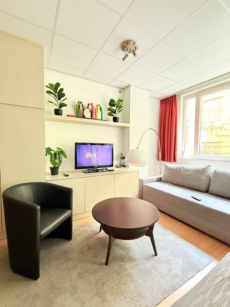 Elegant gestaltetes Wohnzimmer mit moderner Einrichtung in einer Wohnung im Building Rue du Marché aux Poulets - hex - 1264128 - BRU in Brussels, Brussels Elegant gestaltetes Wohnzimmer mit moderner Einrichtung in einer Wohnung im Building Rue du Marché aux Poulets - hex - 1264128 - BRU in Brussels, Brussels