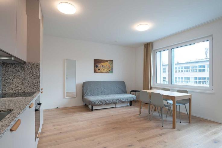 Sala de estar elegantemente projetada com móveis modernos em um apartamento no Building Hohlstrasse - hitrental-ag - 1419351 em District 9, Zurich Sala de estar elegantemente projetada com móveis modernos em um apartamento no Building Hohlstrasse - hitrental-ag - 1419351 em District 9, Zurich