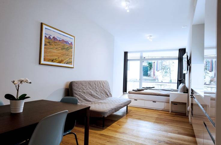 Basel, Basel에 위치한 Building Rümelinsplatz - hitrental-ag - 1458928 유닛의 세련된 인테리어가 돋보이는 거실 Basel, Basel에 위치한 Building Rümelinsplatz - hitrental-ag - 1458928 유닛의 세련된 인테리어가 돋보이는 거실