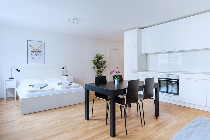 Stüdyo mobilyalı daire Erlenmattstrasse 1547613P , Basel, Basel, fotoğraf 1