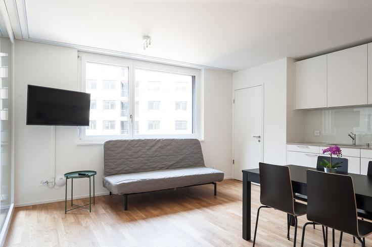 Basel, Basel에 위치한 Building Erlenmattstrasse - hitrental-ag - 1459746 유닛의 세련된 인테리어가 돋보이는 거실