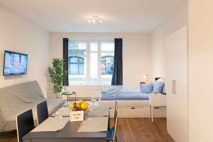 Basel, Basel에 위치한 Building Gerbergasse - hitrental-ag - 1459685 유닛의 세련된 인테리어가 돋보이는 거실 Basel, Basel에 위치한 Building Gerbergasse - hitrental-ag - 1459685 유닛의 세련된 인테리어가 돋보이는 거실