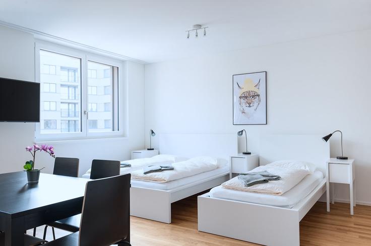 Studio furnished apartment in Erlenmattstrasse 1547615P, Basel, Basel, photo 1
