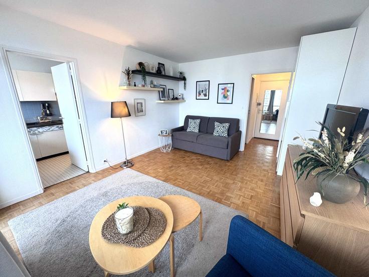 Elegant gestaltetes Wohnzimmer mit moderner Einrichtung in einer Wohnung im Building Rue du Docteur Finlay - hobe - 1564826 in 15th arrondissement, Paris