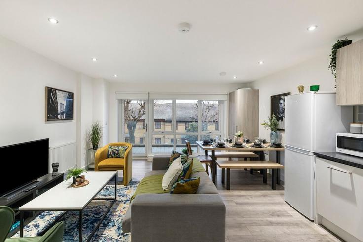Building 53 Dunton Road - home-to-host-usa - 1466678 adresindeki bir dairede modern mobilyalarla zarif bir şekilde tasarlanmış oturma odası London Borough of Waltham Forest, London