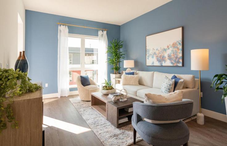 Salle de séjour élégante avec mobilier moderne dans un appartement à Building South Delaware Street - hosteeva - 1354557 à San Mateo, San Mateo Salle de séjour élégante avec mobilier moderne dans un appartement à Building South Delaware Street - hosteeva - 1354557 à San Mateo, San Mateo