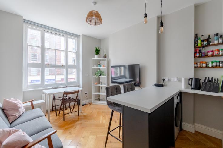 Elegant gestaltetes Wohnzimmer mit moderner Einrichtung in einer Wohnung im Building Clerkenwell Road - houst - 1033465 - LON in London Borough of Islington, London Elegant gestaltetes Wohnzimmer mit moderner Einrichtung in einer Wohnung im Building Clerkenwell Road - houst - 1033465 - LON in London Borough of Islington, London