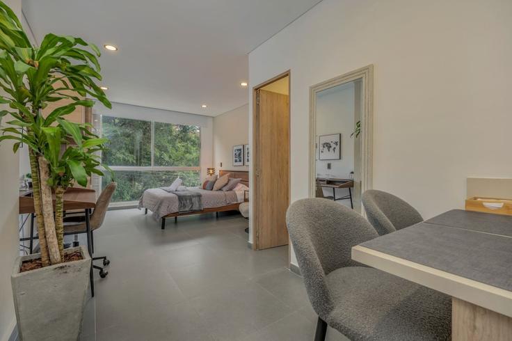 Elegant gestaltetes Wohnzimmer mit moderner Einrichtung in einer Wohnung im Building Carrera 29 - housy-host - 1327021 in El Poblado, Medellín Elegant gestaltetes Wohnzimmer mit moderner Einrichtung in einer Wohnung im Building Carrera 29 - housy-host - 1327021 in El Poblado, Medellín