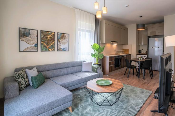 Sala de estar elegantemente projetada com móveis modernos em um apartamento no Building Taşocağı Yolu Caddesi - ipmhomes - 1335832 em Bağcılar, İstanbul Sala de estar elegantemente projetada com móveis modernos em um apartamento no Building Taşocağı Yolu Caddesi - ipmhomes - 1335832 em Bağcılar, İstanbul