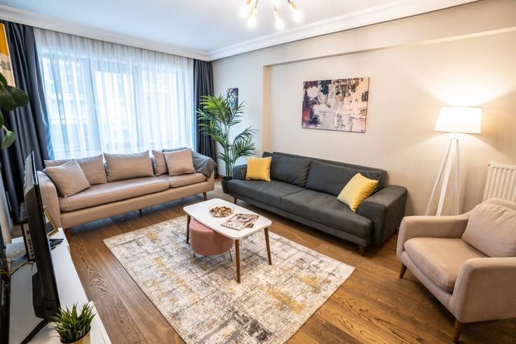 İstanbul ŞişliのBuilding Vali Konağı Caddesi - ipmhomes - 1335790のアパートメントにある、モダンな家具を備えたエレガントなデザインのリビングルーム İstanbul ŞişliのBuilding Vali Konağı Caddesi - ipmhomes - 1335790のアパートメントにある、モダンな家具を備えたエレガントなデザインのリビングルーム