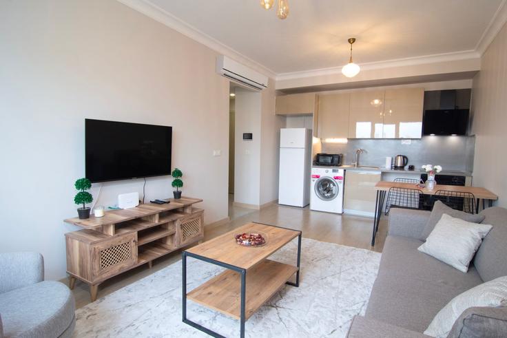 Building Sakin Caddesi - ipmhomes - 1335786 adresindeki bir dairede modern mobilyalarla zarif bir şekilde tasarlanmış oturma odası Eyüpsultan, İstanbul