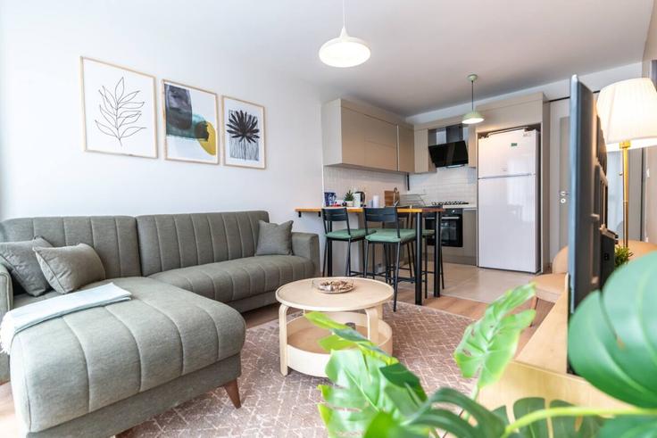 Salle de séjour élégante avec mobilier moderne dans un appartement à Building Ahu Sokak - ipmhomes - 1335800 à Eyüpsultan, İstanbul