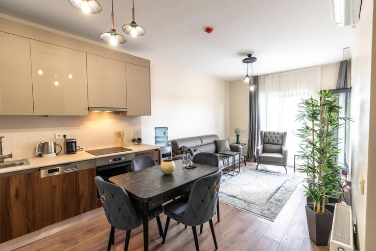 Elegante sala de estar con mobiliario moderno en un apartamento en Building Taşocağı Yolu Caddesi - ipmhomes - 1335824 en Bağcılar, İstanbul