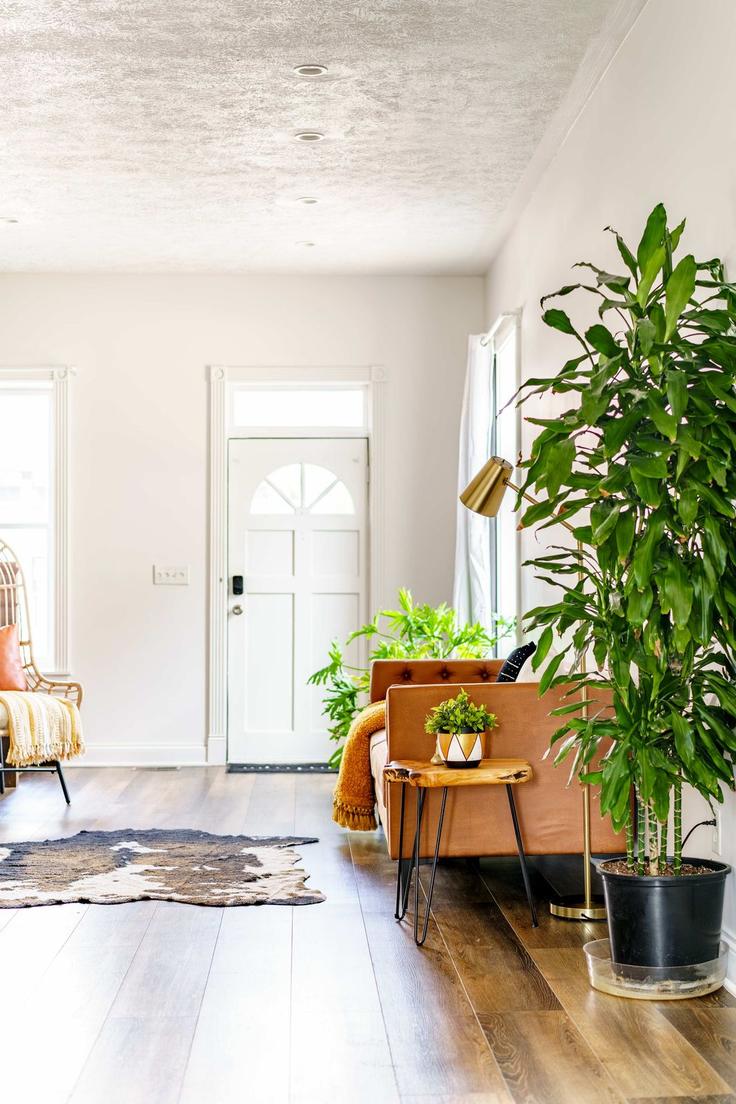 Salle de séjour élégante avec mobilier moderne dans un appartement à Building East Russell Street - jungle-house - 1601758 à Columbus, Columbus Salle de séjour élégante avec mobilier moderne dans un appartement à Building East Russell Street - jungle-house - 1601758 à Columbus, Columbus