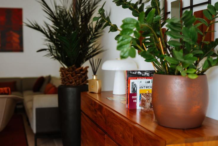 Building Geuzenstraat - la-petite-foret - 1404456 adresindeki bir dairede modern mobilyalarla zarif bir şekilde tasarlanmış oturma odası Antwerp, Antwerp