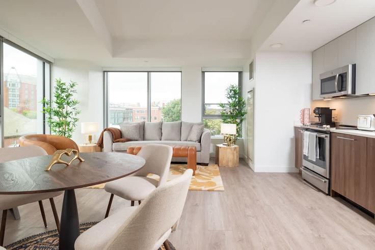 Salle de séjour élégante avec mobilier moderne dans un appartement à Building Massachusetts Avenue - massliving - 1596482 à Cambridge, Cambridge Salle de séjour élégante avec mobilier moderne dans un appartement à Building Massachusetts Avenue - massliving - 1596482 à Cambridge, Cambridge