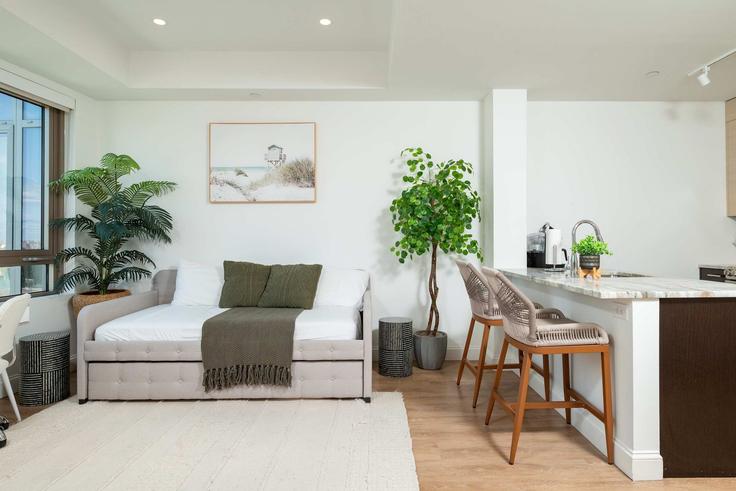 Elegant gestaltetes Wohnzimmer mit moderner Einrichtung in einer Wohnung im Building Kneeland Street - massliving - 1252106 - BOS in Boston, Boston