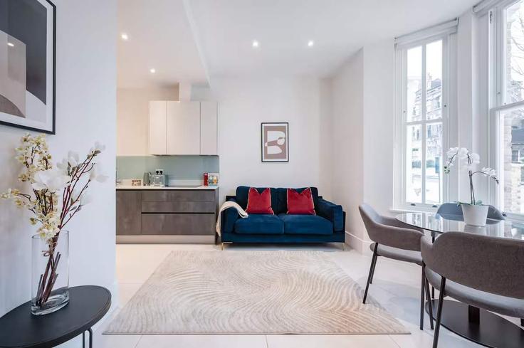 London London Borough of IslingtonのBuilding Hungerford Road - meadoluxuryrentals - 1317426のアパートメントにある、モダンな家具を備えたエレガントなデザインのリビングルーム
