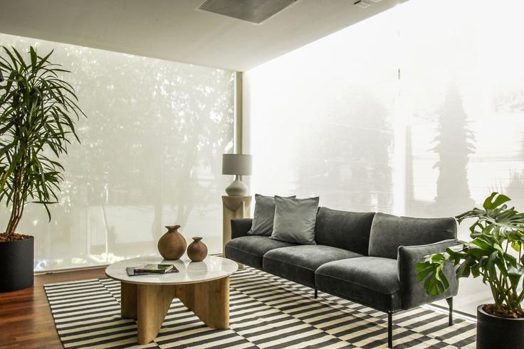 Elegante sala de estar con mobiliario moderno en un apartamento en Building Calle Sócrates 136 - mr-wmain - 1493288 en Mexico City, Mexico City