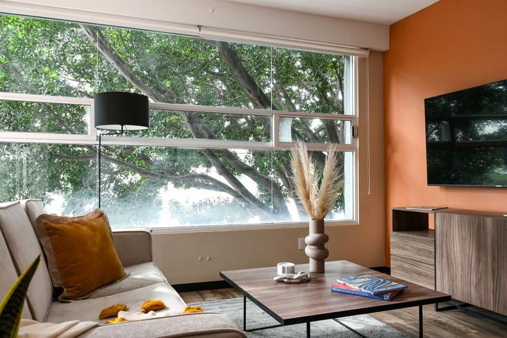 Elegant gestaltetes Wohnzimmer mit moderner Einrichtung in einer Wohnung im Building Tlacotalpan - mr-wmain - 1493291 in Mexico City, Mexico City