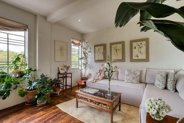 Building Avenida Sonora 128 - mr-wmain - 1493283 adresindeki bir dairede modern mobilyalarla zarif bir şekilde tasarlanmış oturma odası Mexico City, Mexico City