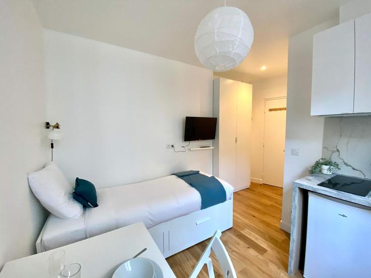 1 möblierte Einzimmerwohnung in Rue Olivier de Serres 1365947P , 15th arrondissement, Paris, Foto 1
