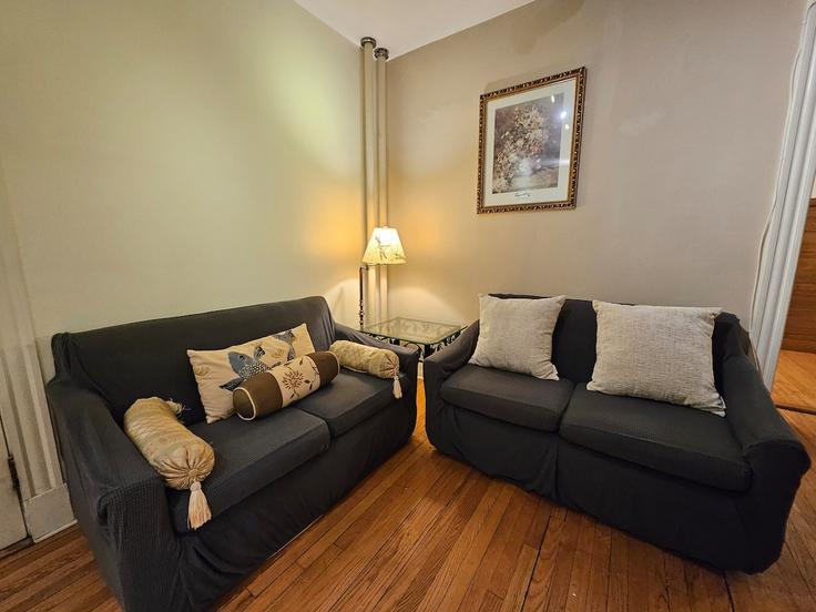 Building Chestnut Hill Avenue - myurbanbnb - 1364247 adresindeki bir dairede modern mobilyalarla zarif bir şekilde tasarlanmış oturma odası Boston, Boston