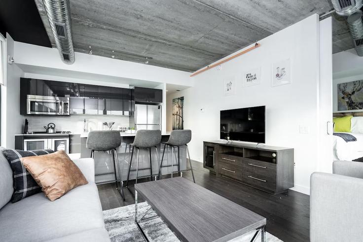 Winnipeg, Winnipeg에 위치한 Building Portage Avenue - nest-host-ltd - 1461142 유닛의 세련된 인테리어가 돋보이는 거실