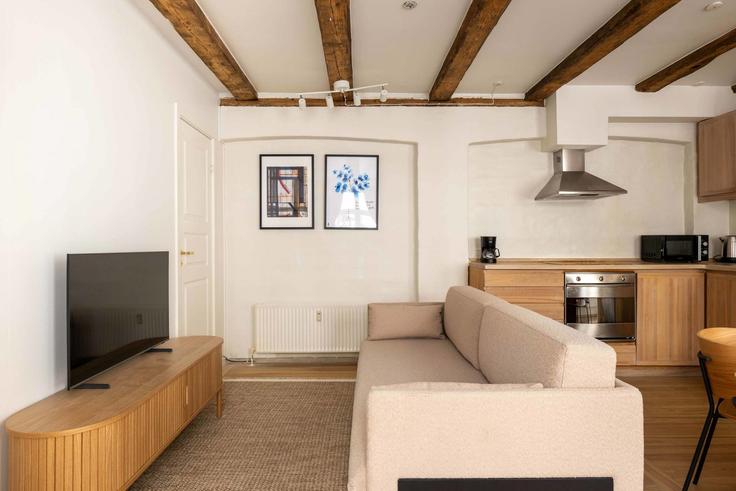 Copenhagen CopenhagenのBuilding Læssøesgade - nest-udlejning-aps - 1625771のアパートメントにある、モダンな家具を備えたエレガントなデザインのリビングルーム Copenhagen CopenhagenのBuilding Læssøesgade - nest-udlejning-aps - 1625771のアパートメントにある、モダンな家具を備えたエレガントなデザインのリビングルーム